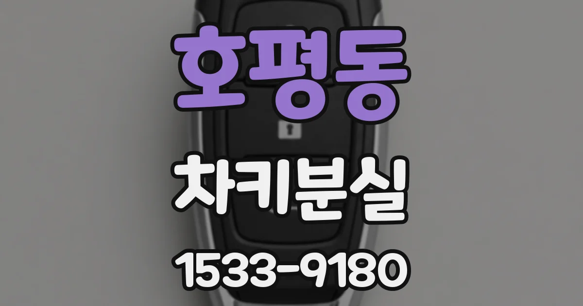 호평동 차키분실