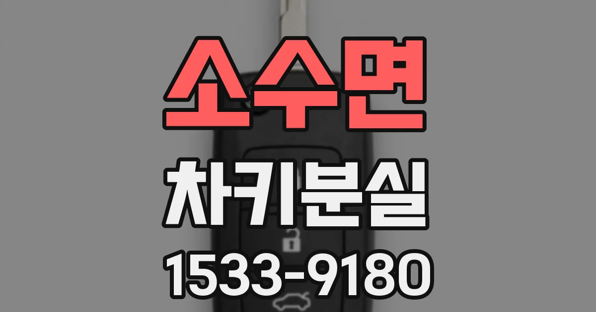 소수면 차키분실