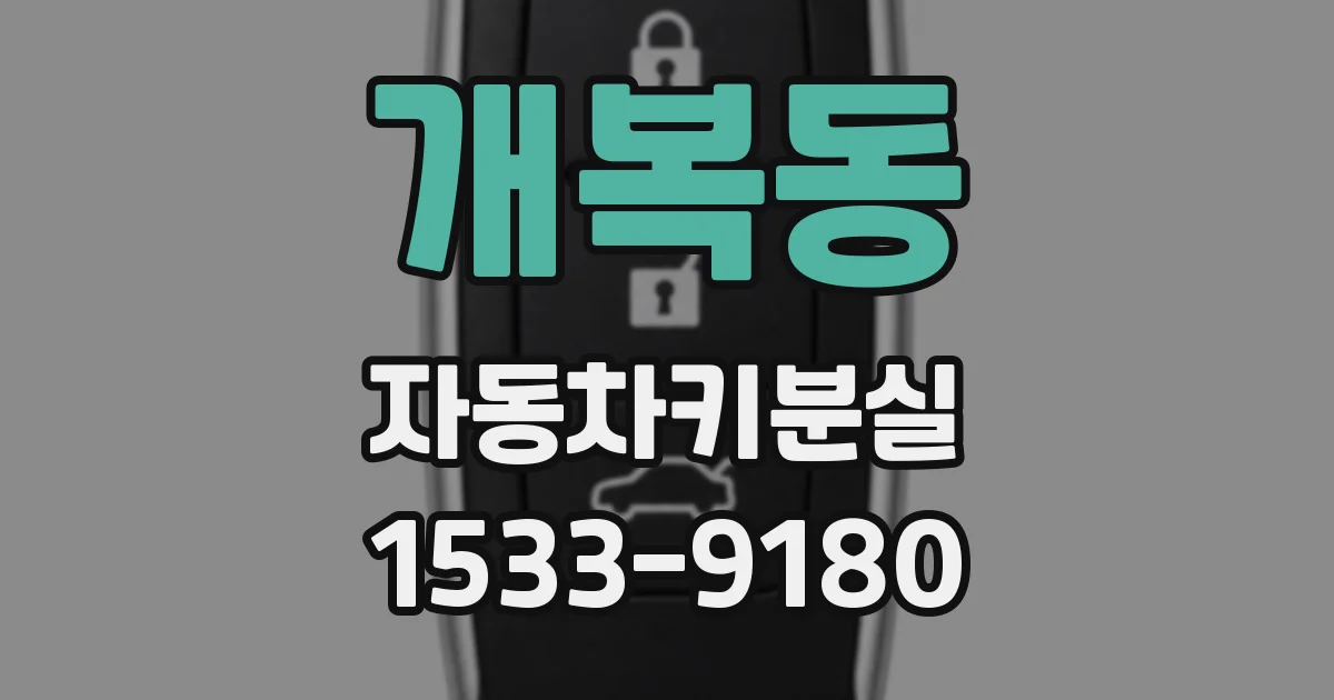 개복동 자동차키분실