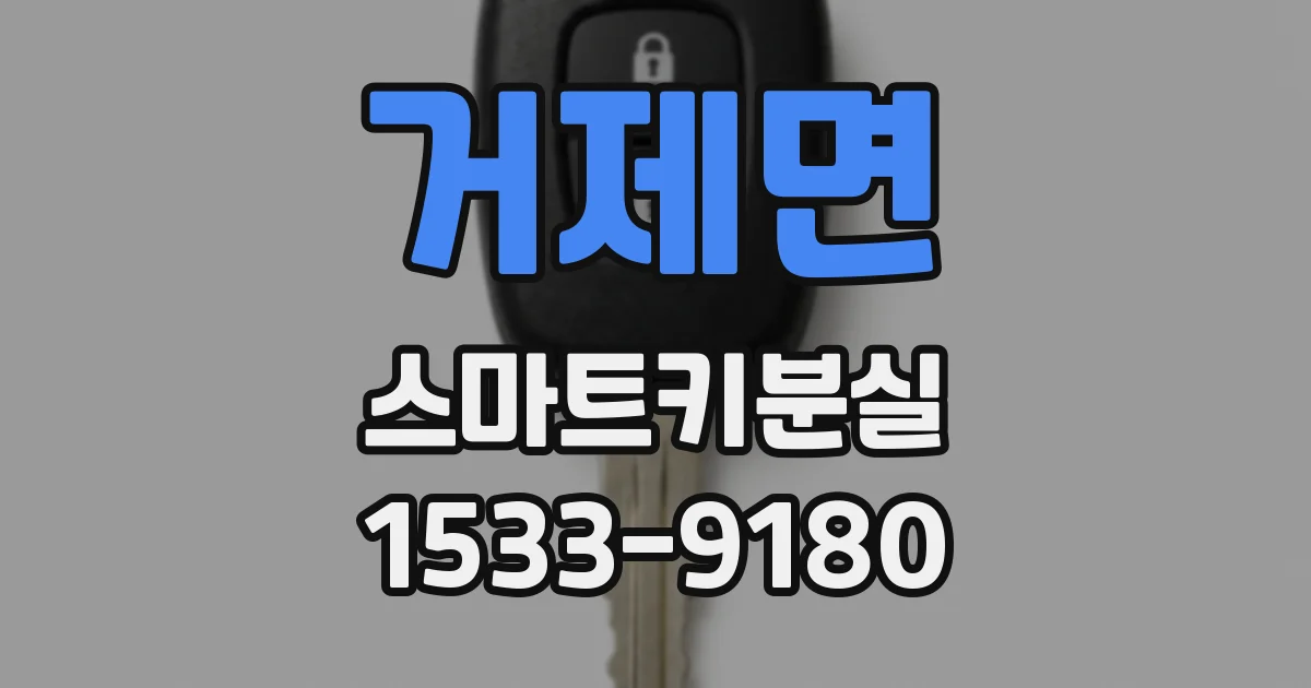 거제면 스마트키분실