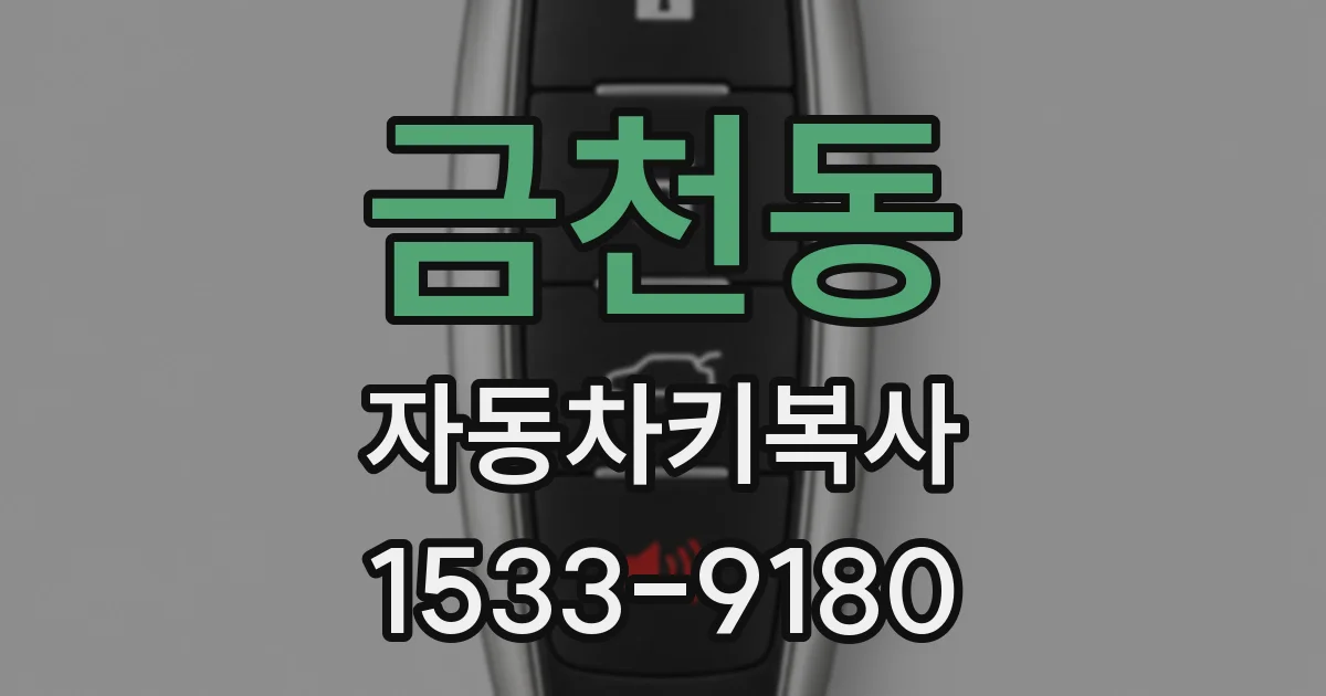 금천동 자동차키복사