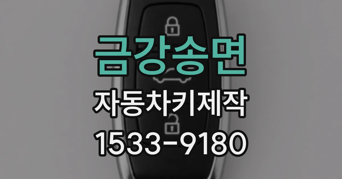 금강송면 자동차키제작