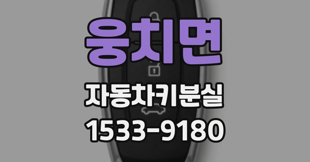 웅치면 자동차키분실