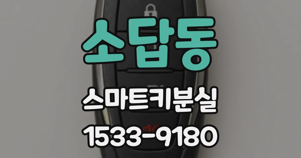 소답동 스마트키분실