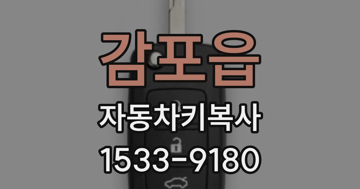 감포읍 자동차키복사