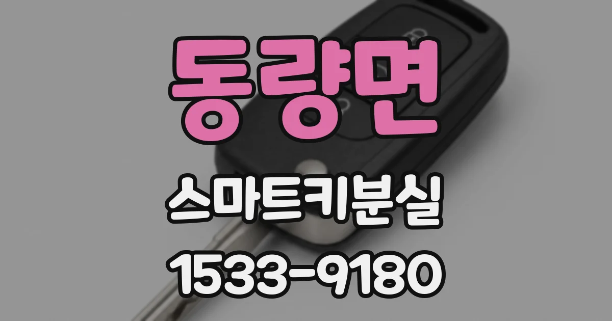 동량면 스마트키분실
