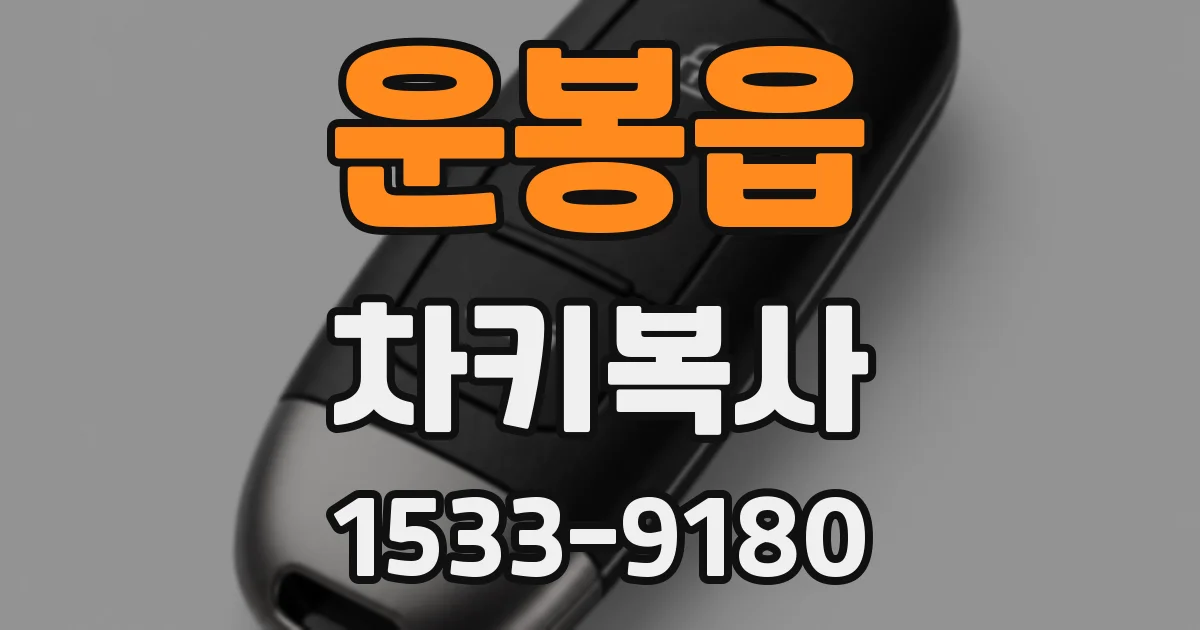 운봉읍 차키복사