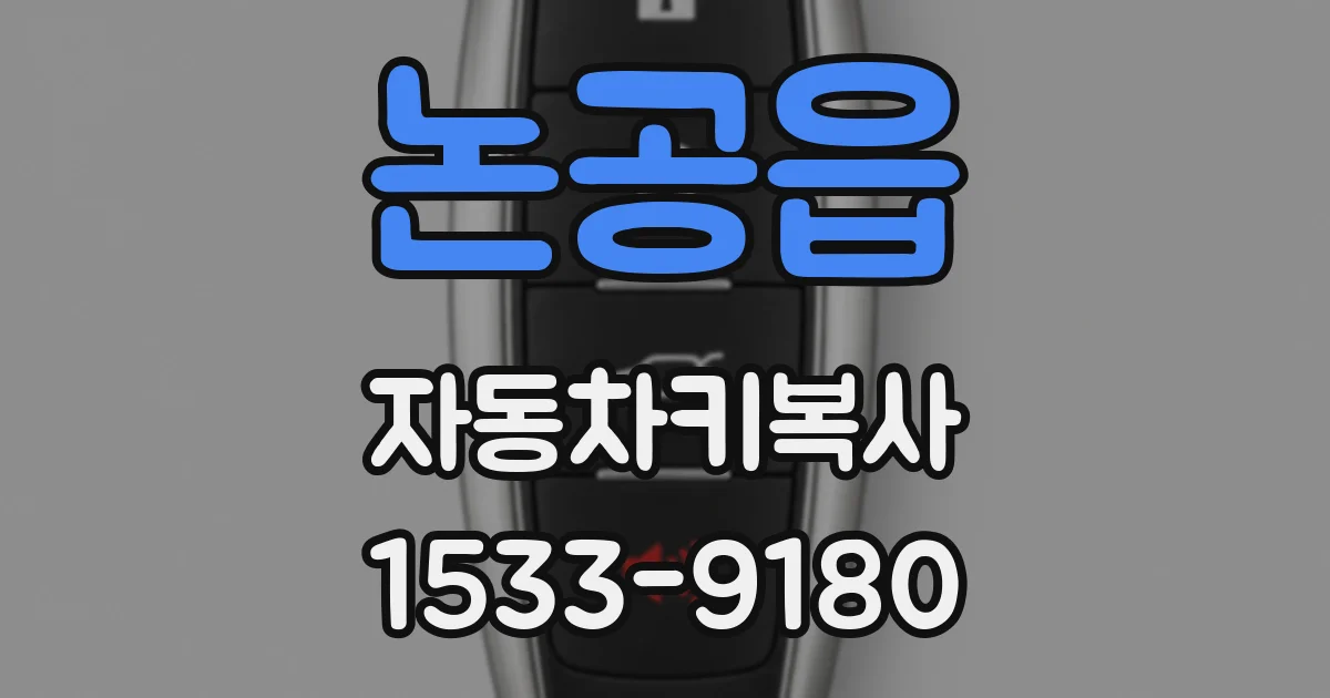 논공읍 자동차키복사