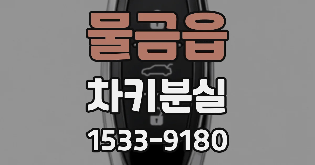 물금읍 차키분실