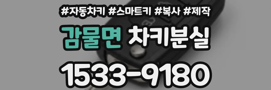 감물면 차키분실