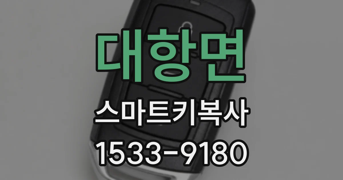 대항면 스마트키복사