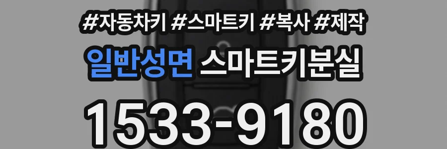 일반성면 스마트키분실