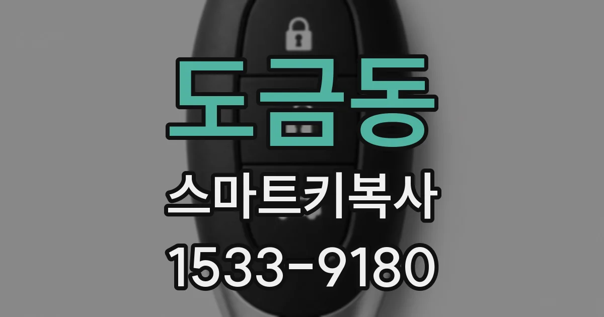 도금동 스마트키복사
