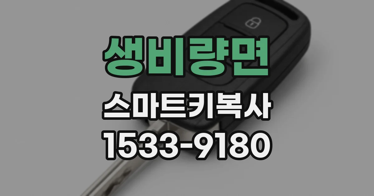 생비량면 스마트키복사