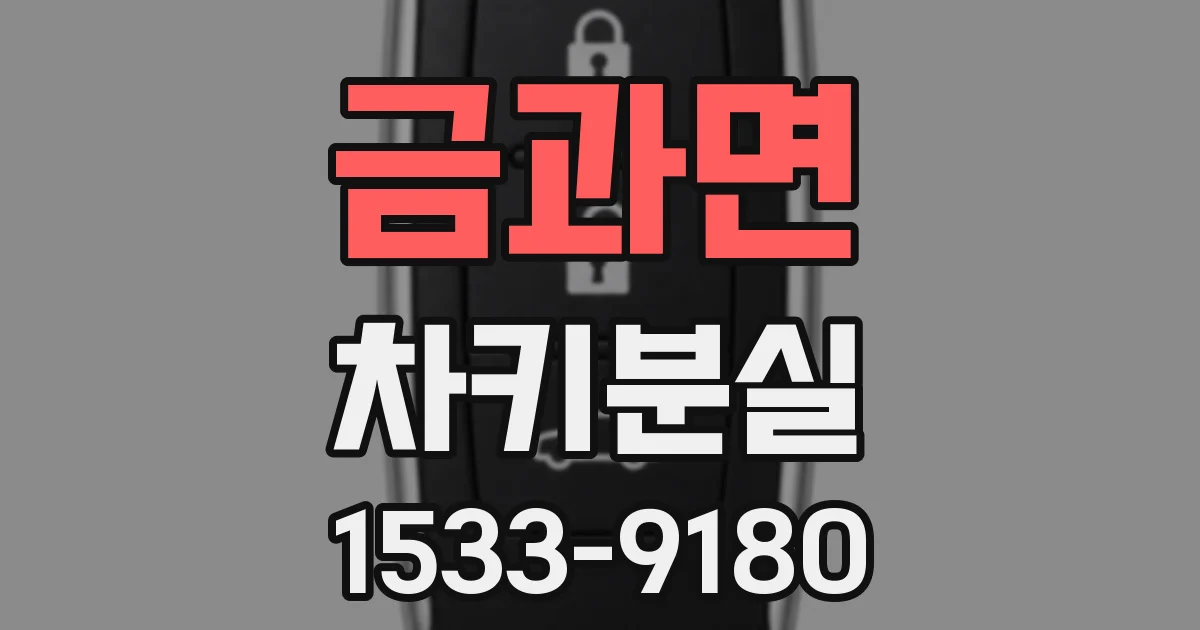 금과면 차키분실