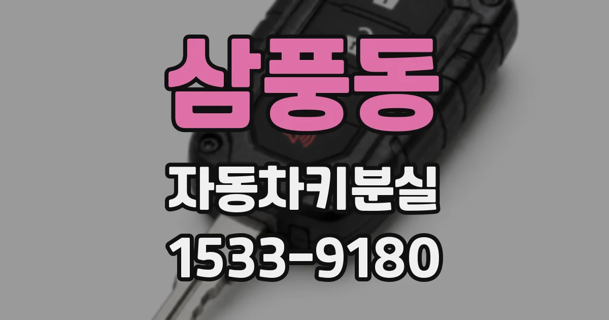 삼풍동 자동차키분실