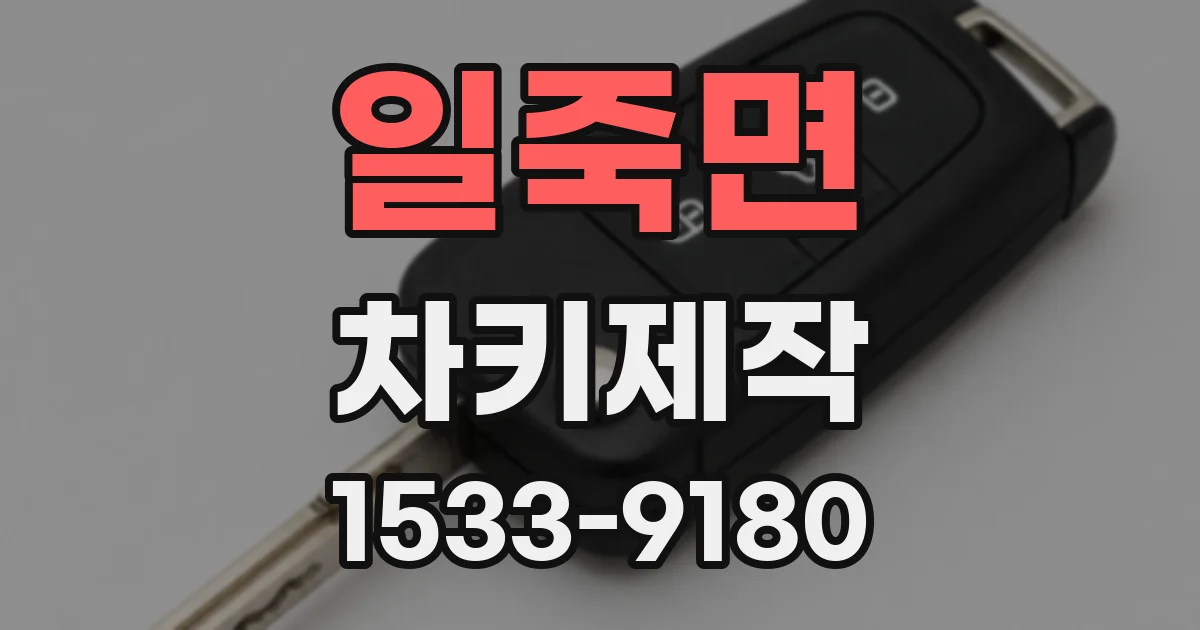 일죽면 차키제작