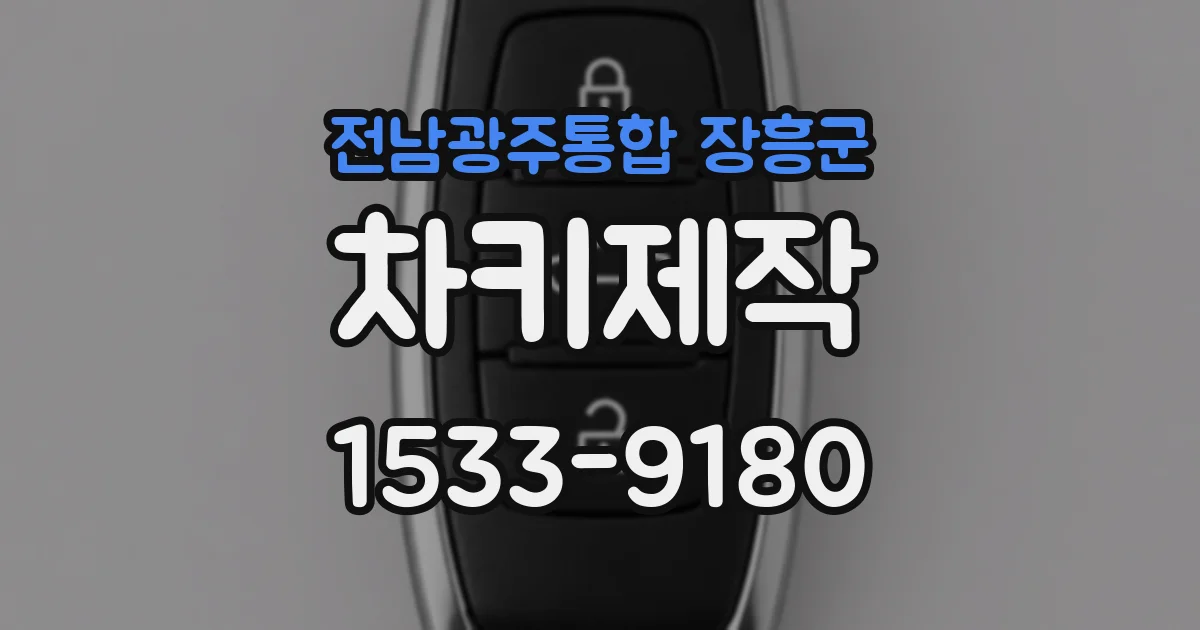 전남광주통합 장흥군 차키제작