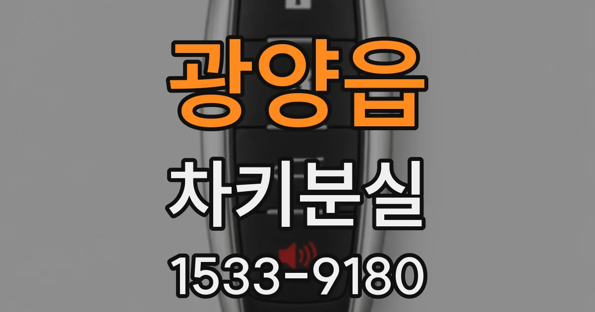 광양읍 차키분실