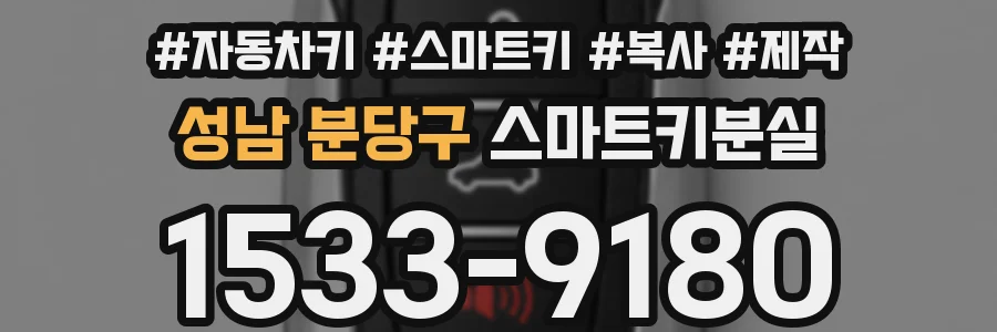 성남 분당구 스마트키분실