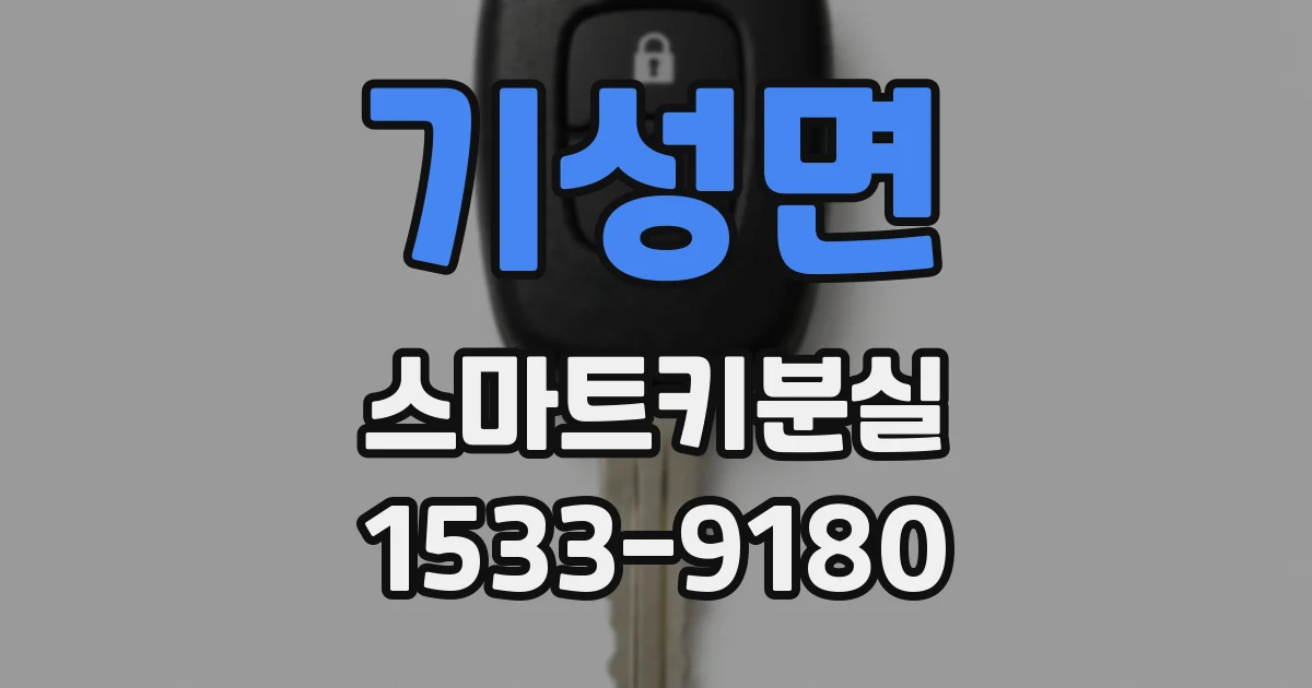 기성면 스마트키분실