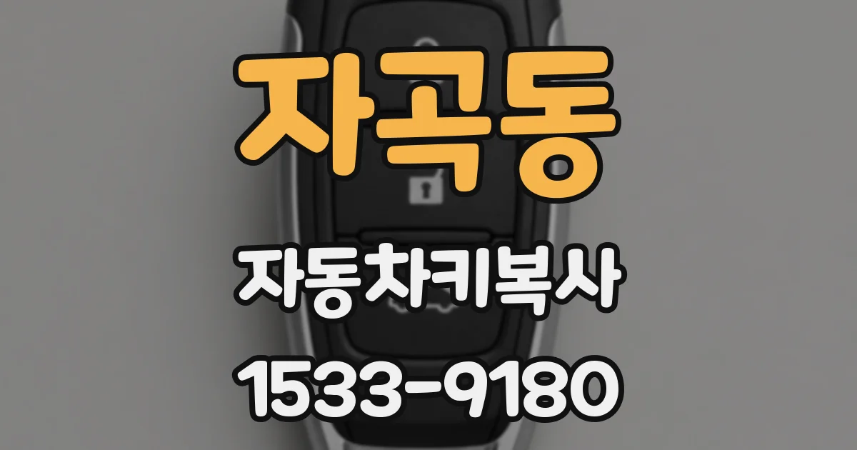 자곡동 자동차키복사