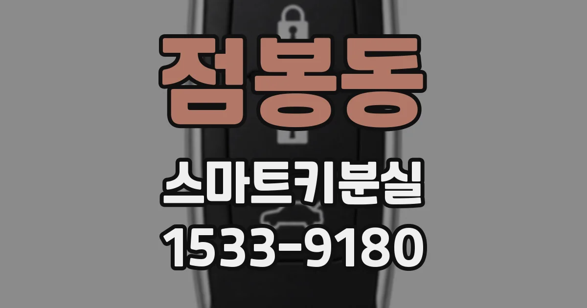 점봉동 스마트키분실