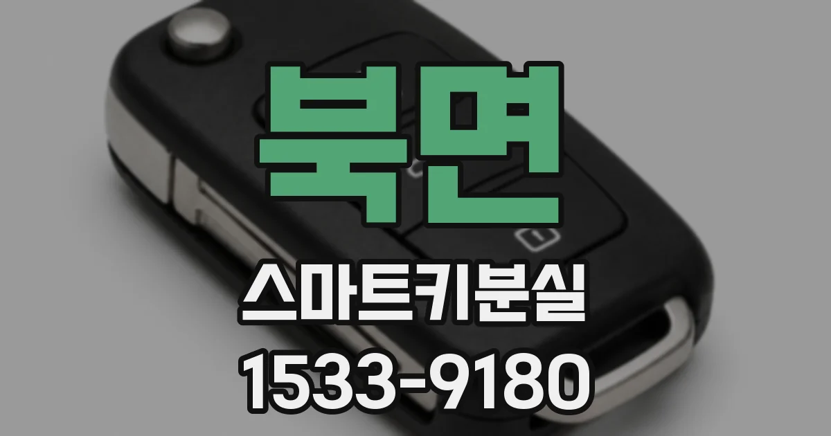 북면 스마트키분실