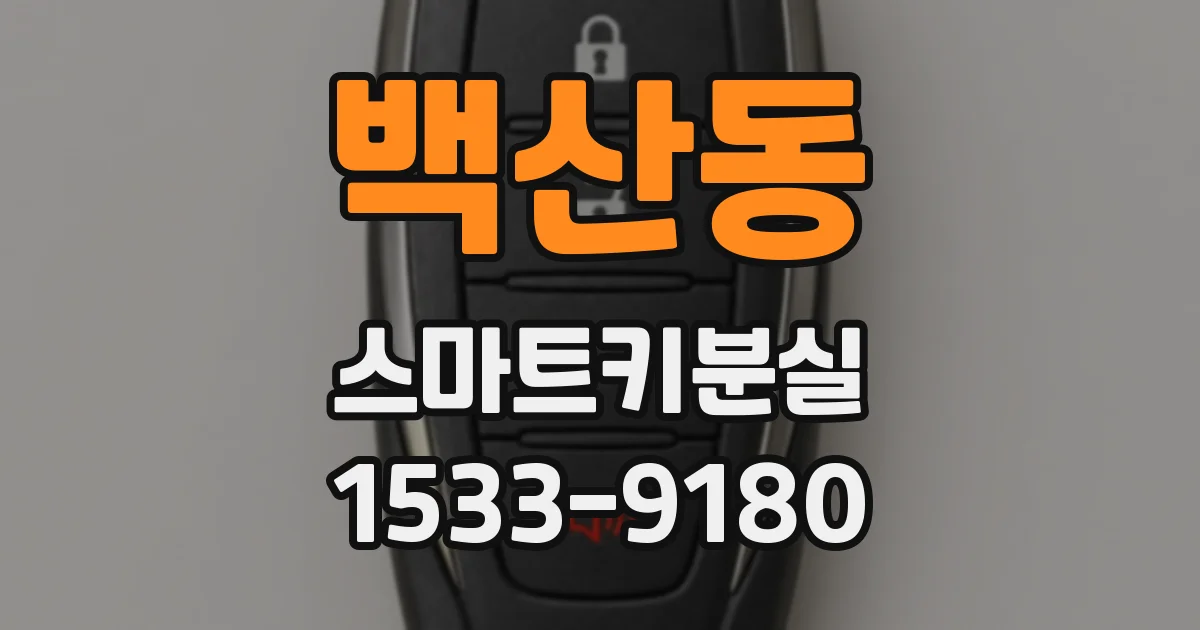 백산동 스마트키분실