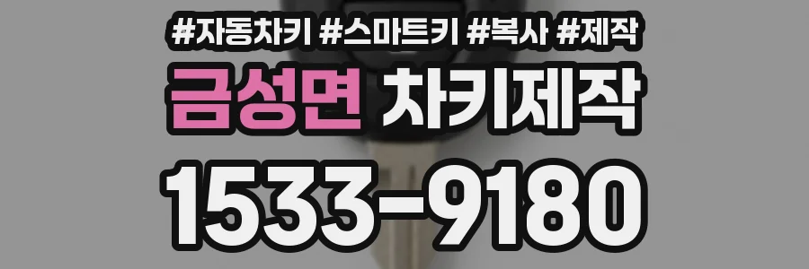 금성면 차키제작