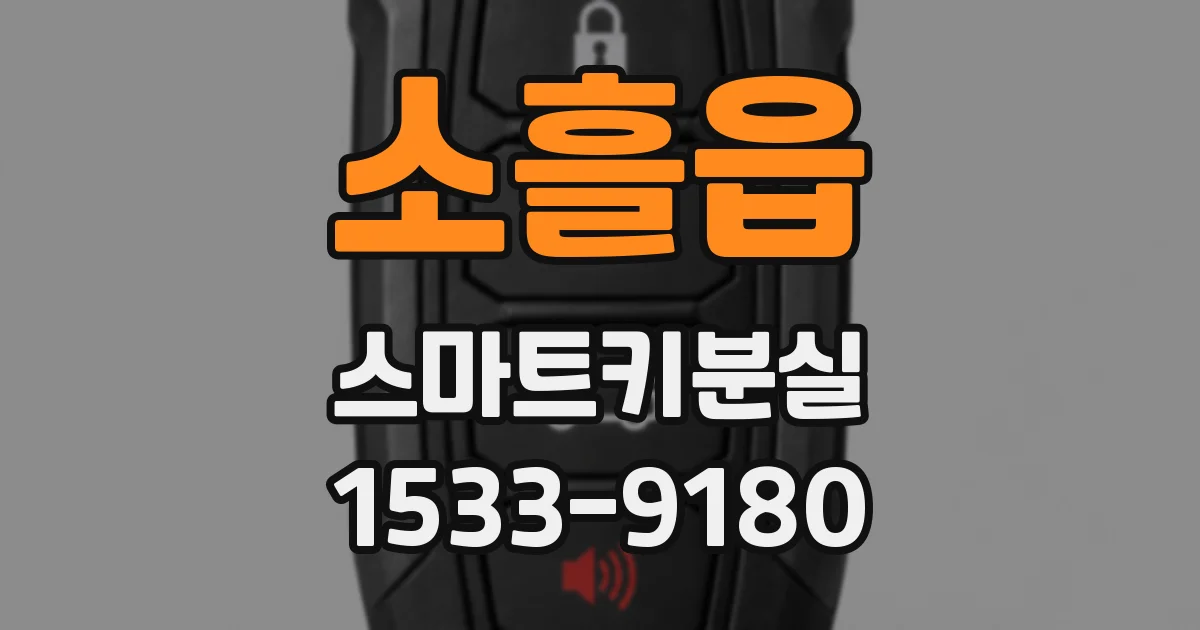 소흘읍 스마트키분실