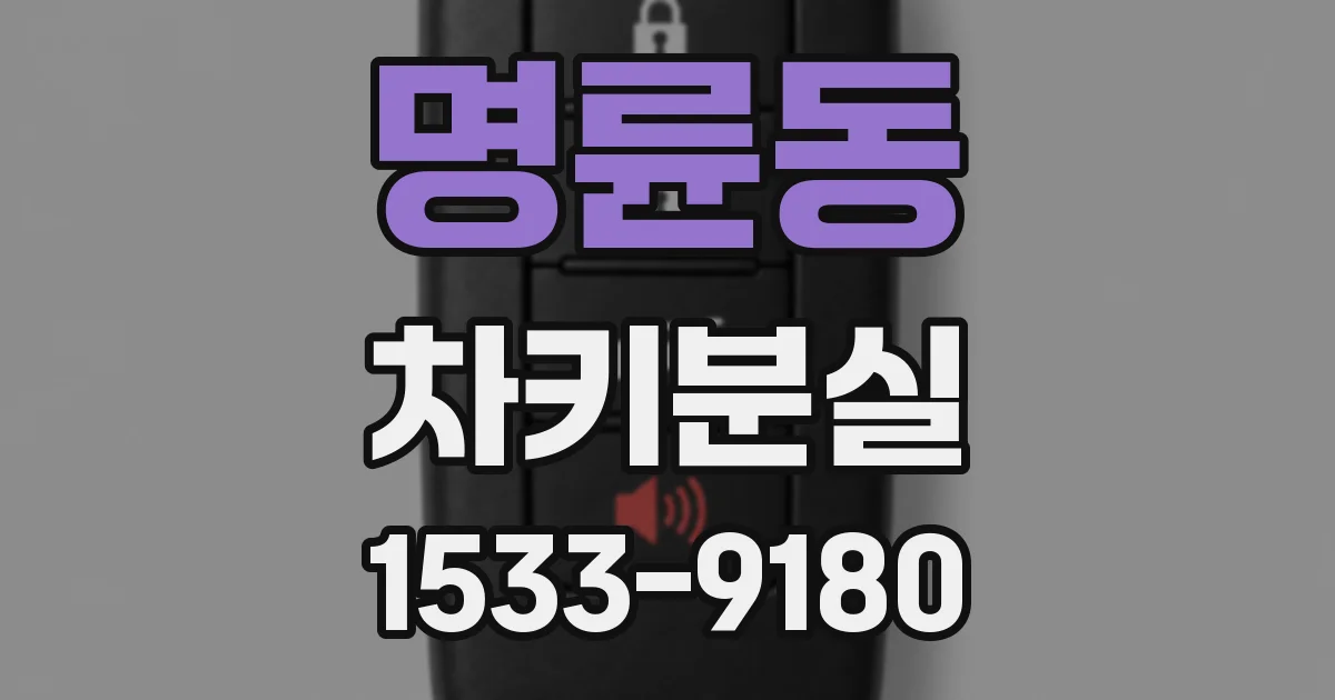 명륜동 차키분실