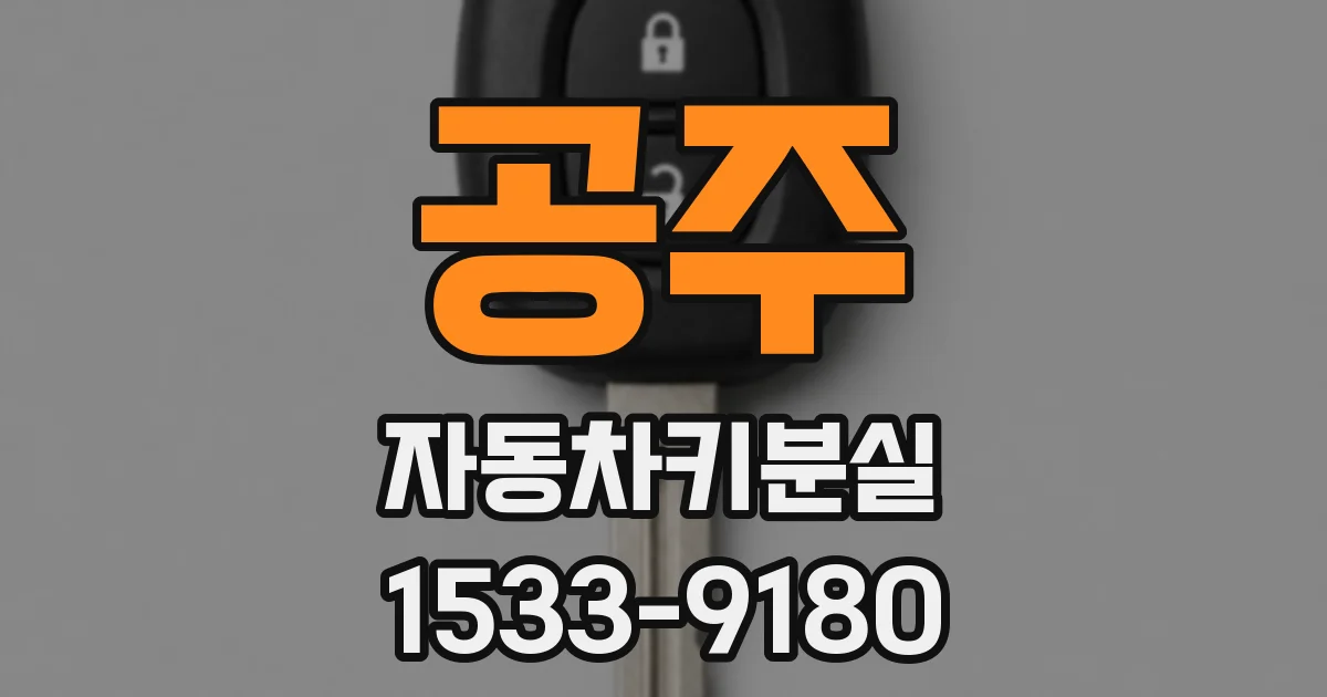 공주 자동차키분실