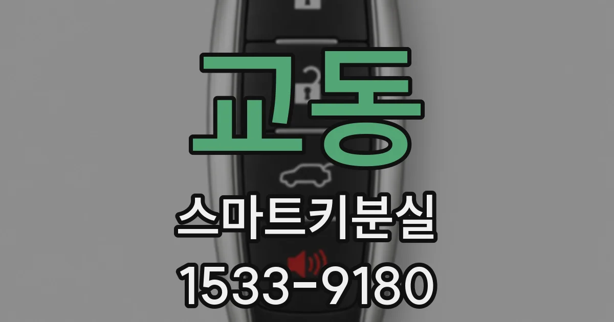 교동 스마트키분실