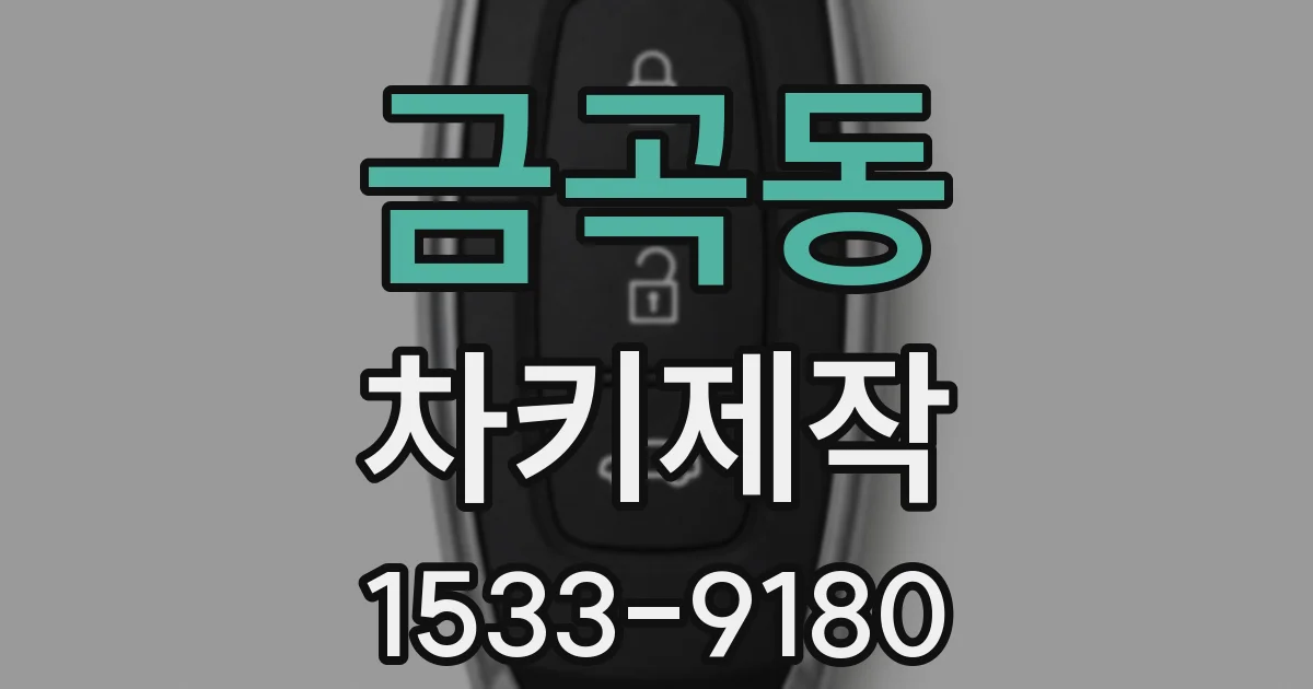 금곡동 차키제작