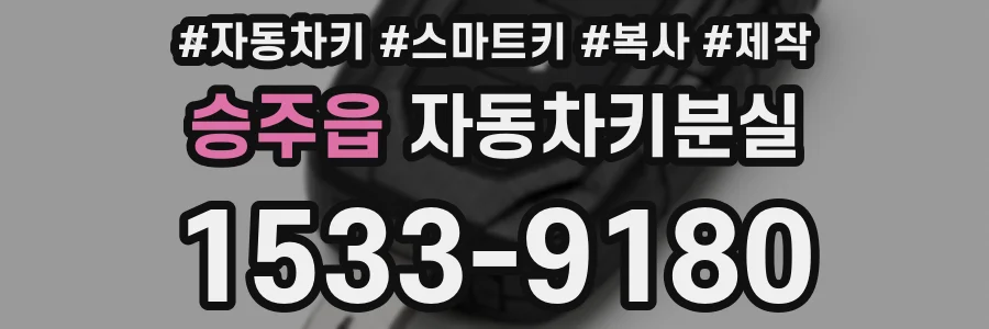 승주읍 자동차키분실