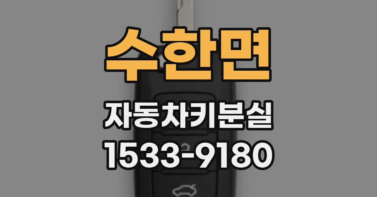 수한면 자동차키분실