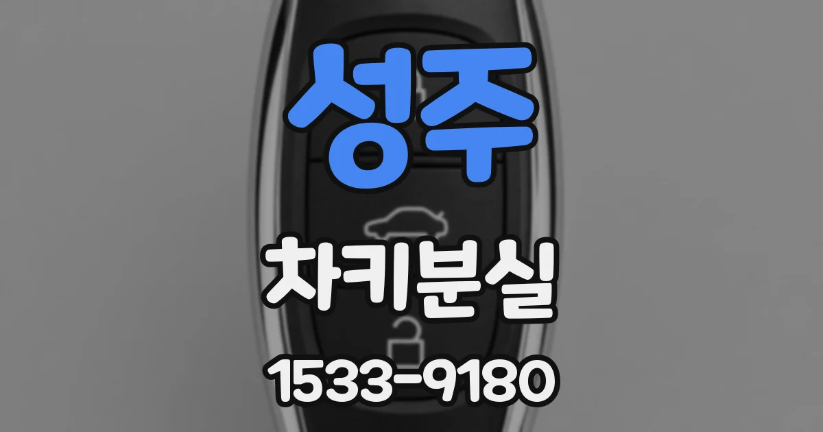 성주 차키분실