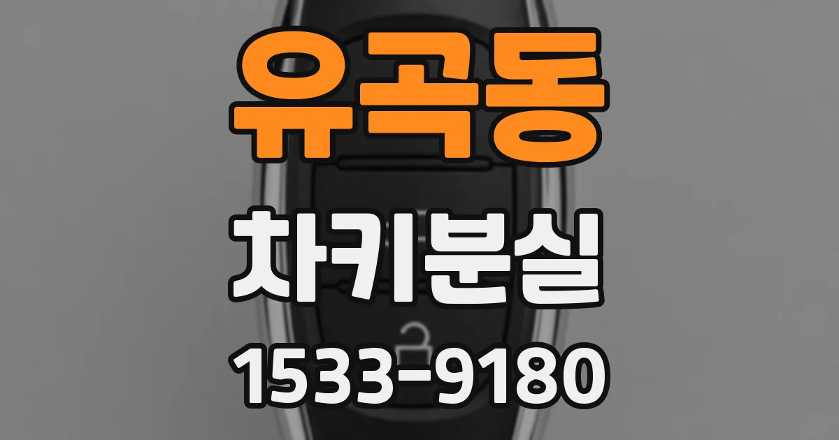 유곡동 차키분실