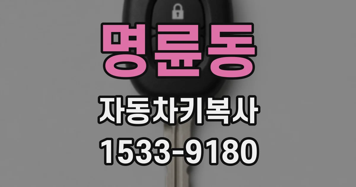 명륜동 자동차키복사