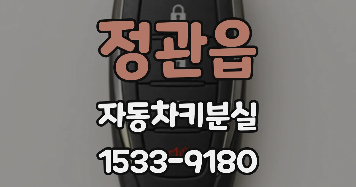 정관읍 자동차키분실
