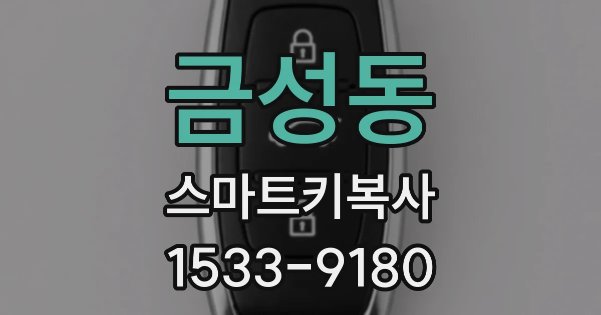 금성동 스마트키복사