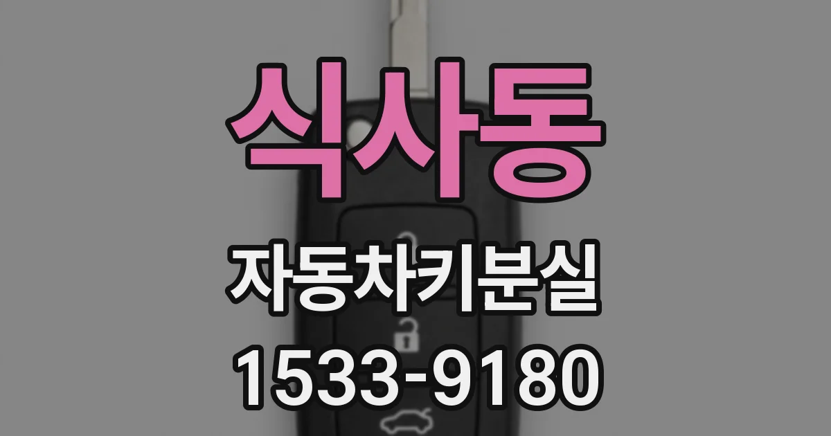 식사동 자동차키분실