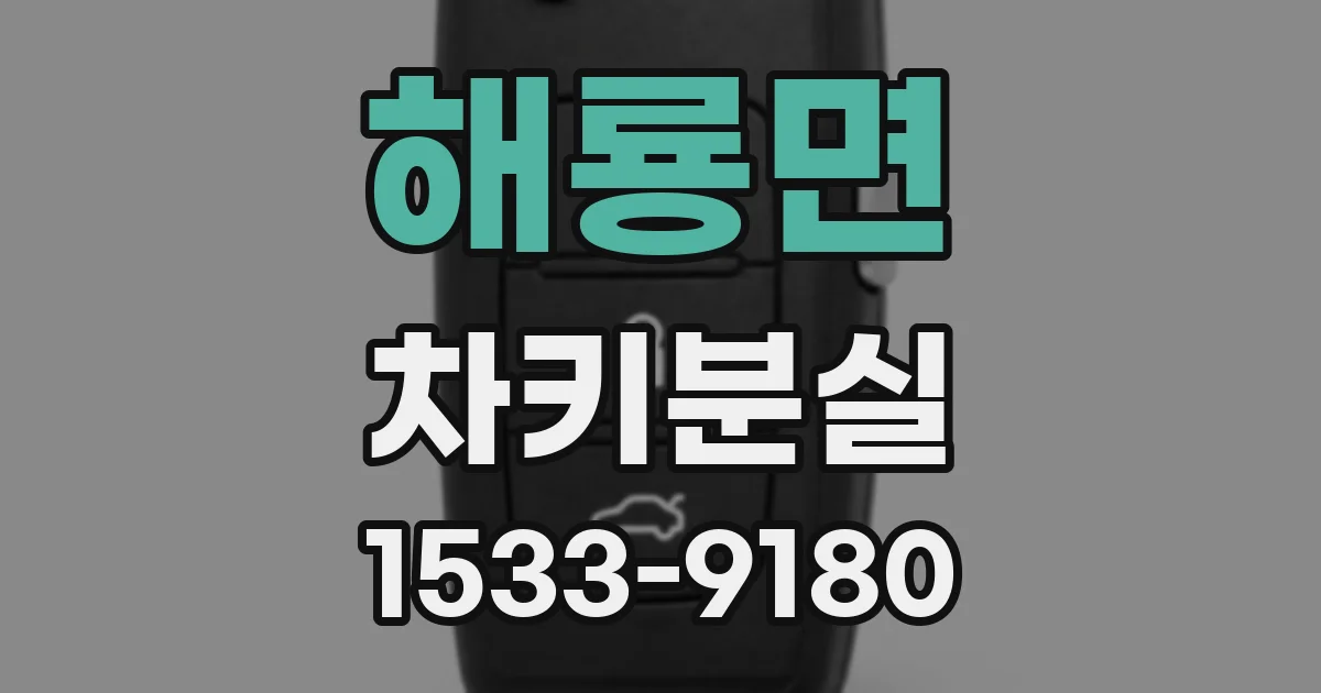 해룡면 차키분실