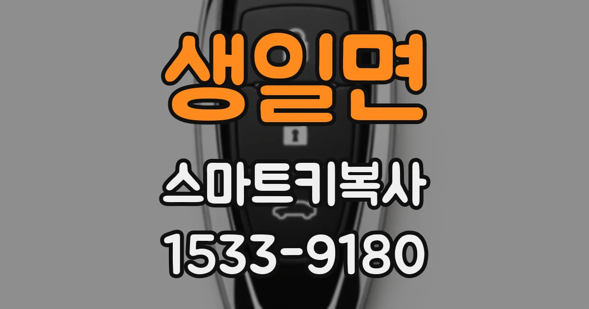 생일면 스마트키복사