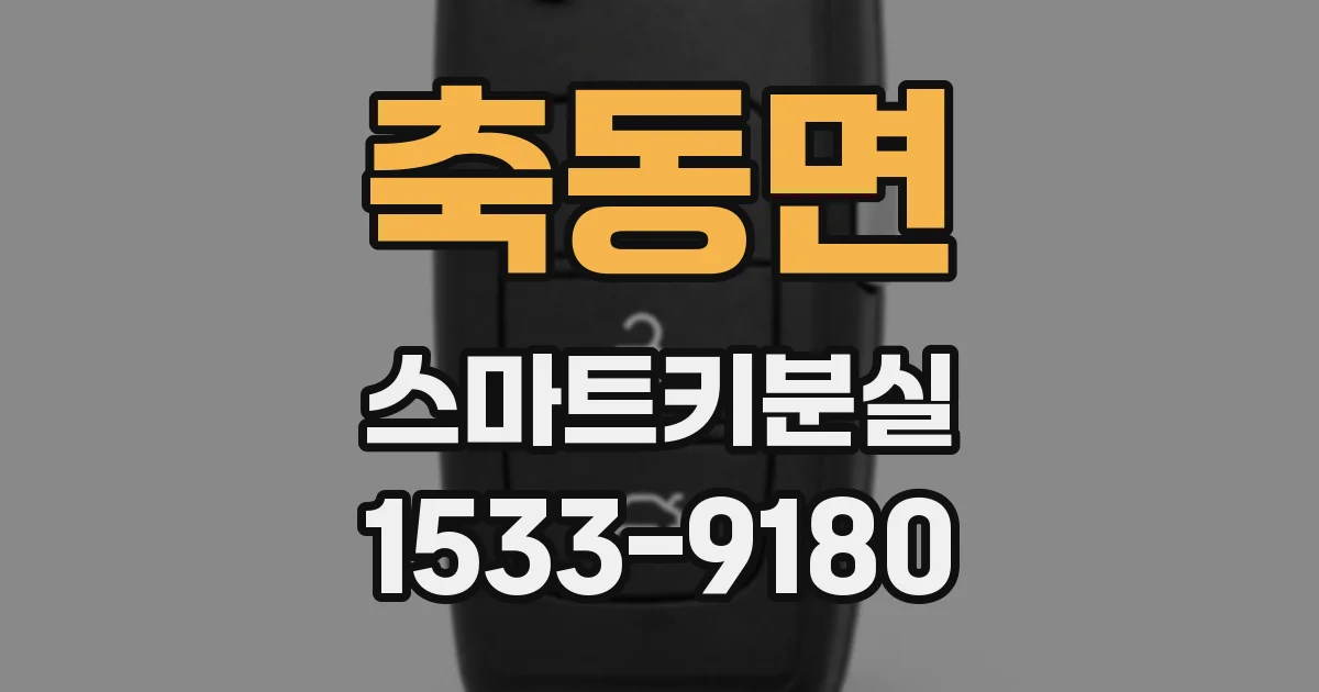 축동면 스마트키분실