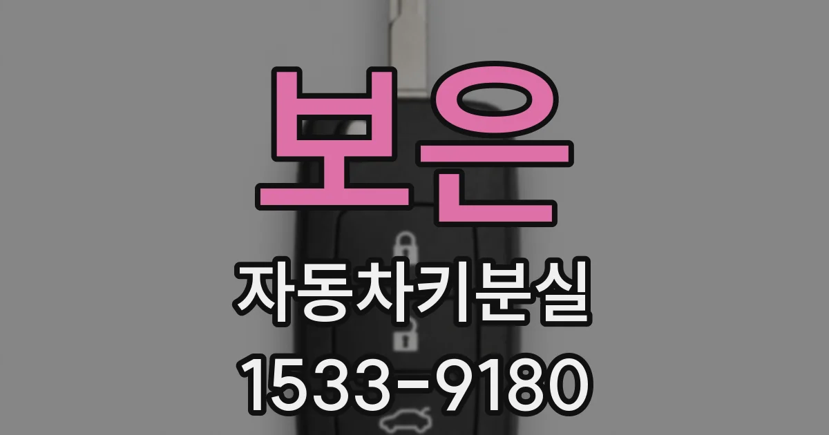 보은 자동차키분실