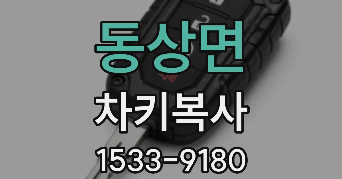 동상면 차키복사