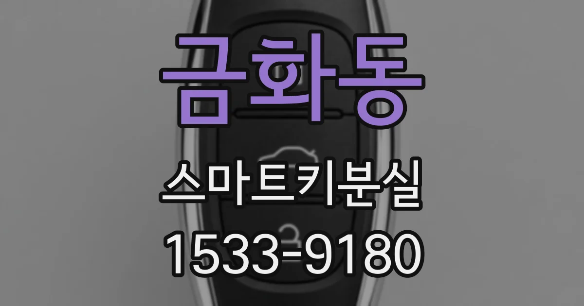 금화동 스마트키분실