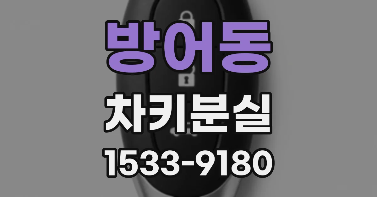 방어동 차키분실